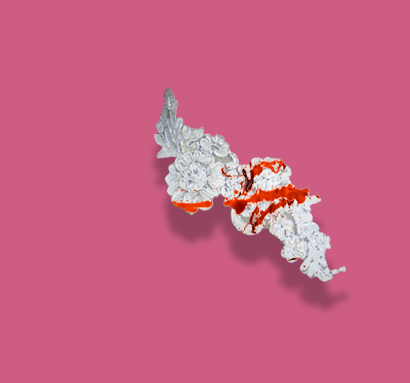 dentelle ensanglantée